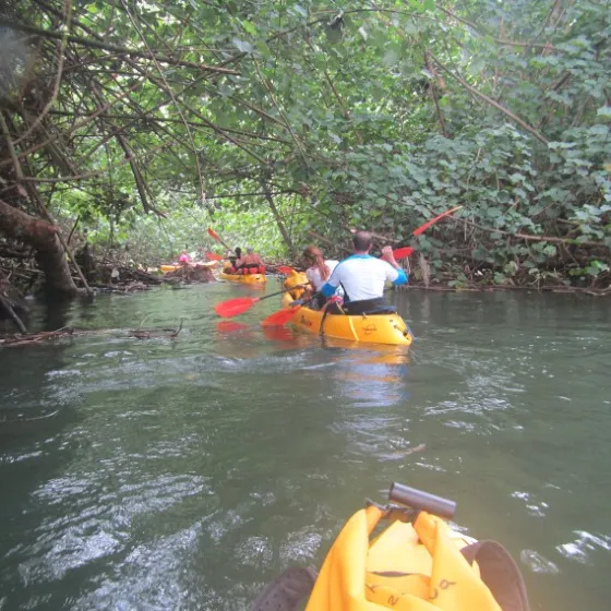 group kayaking on the wailua river