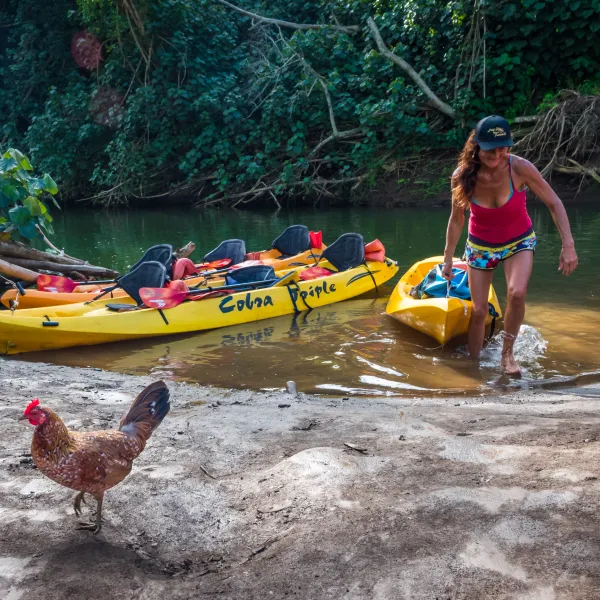 Kayak Wailua By Scott Mario