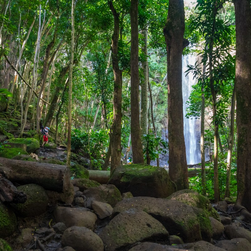 Kayak Wailua By Scott Mario