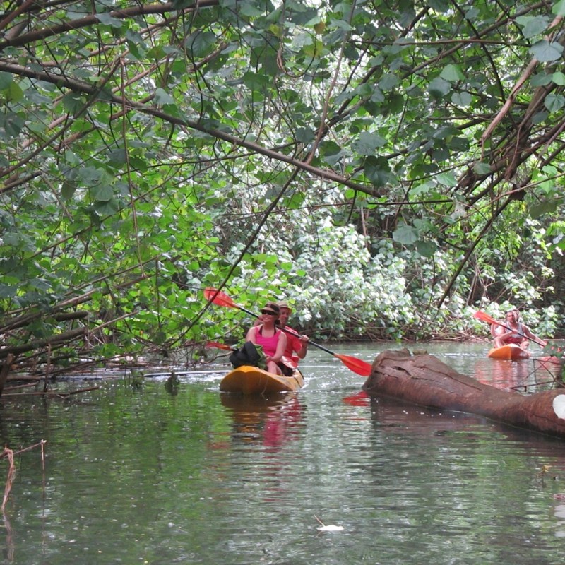 Red Kayaks on River