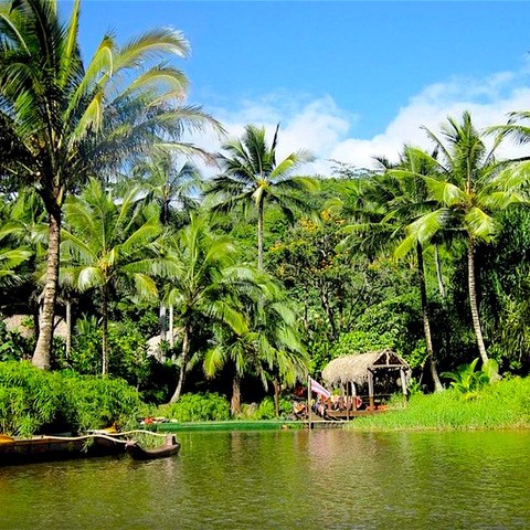 a tree next to a body of water surrounded by palm trees